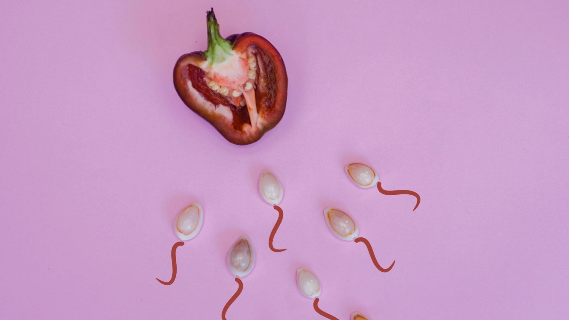 The 90-Day Reset: How Long Does It Take to Improve Sperm Quality?
