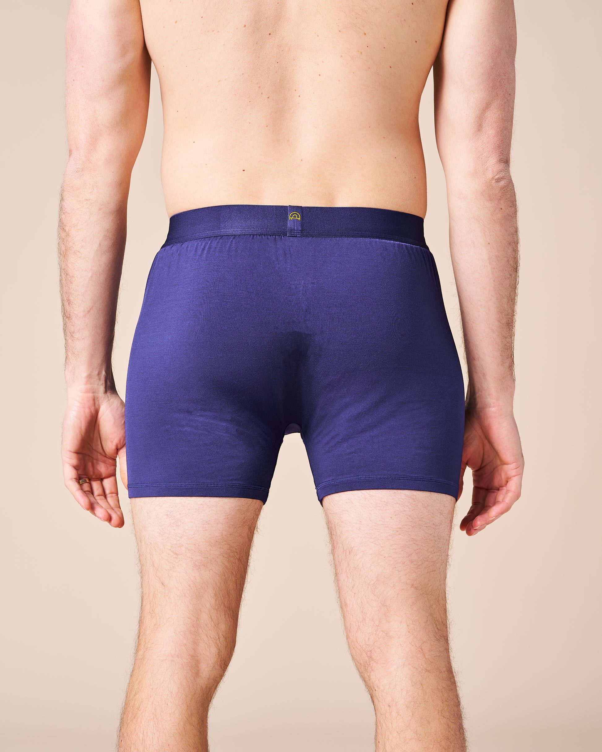 A male model comfortably wearing the Fruitful  NavyBoxer, back profile. 
