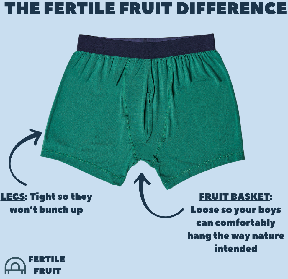 Diagram showing how the Fruitful Boxer helps with temperature regulation to increase sperm count.
