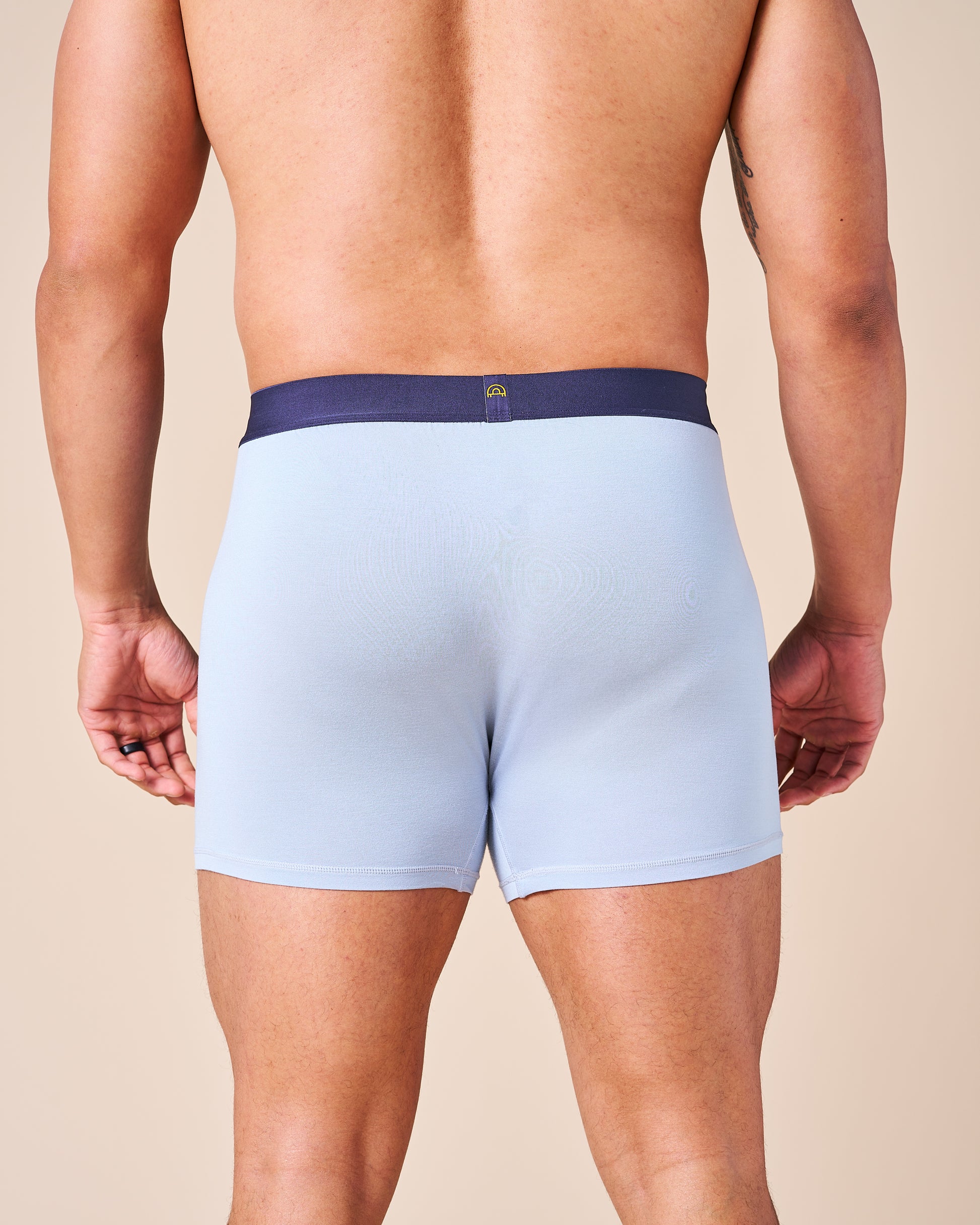 Back view of a model wearing the supportive and roomy Light Blue Fruitful Boxer.